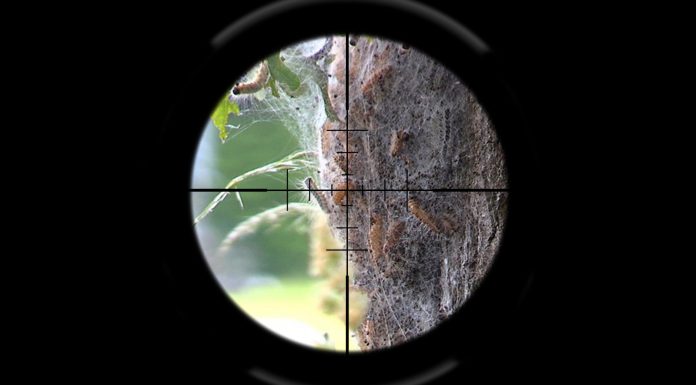 PodKat bestrijdt staatsvijand nummer 1: weg met de anticonceptierups!